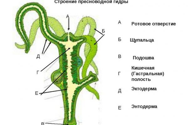 Что будет если зайти в кракен