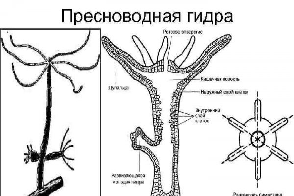 Кракен ссылка новая