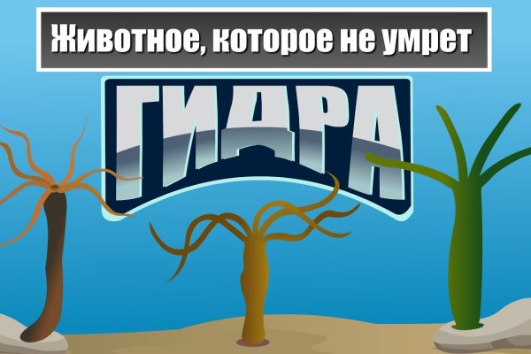 Сайт кракен тор браузера